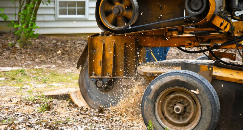 Stump Grinding