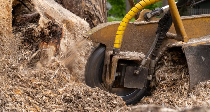 Stump Removal